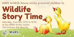 Preschool Wildlife Story Time