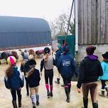 Thursday half term stable day