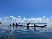 Multi-day Kayak Tour to Cypress Island