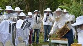 Family Day at the Bee Farm