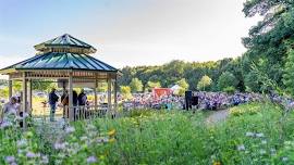 Music In the Park - Hired Hands