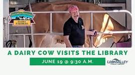 Dairy Cow Visit