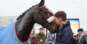 New Year's Day Racing