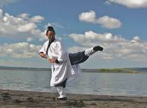 Master Bing in the UK! Wudang Taiyi Wuxing Quan (Wudang 5 Elements Fist) Workshop