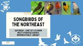 Songbirds of the Northeast