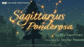 Sagittarius Ponderosa presented by Open Wings Theatre Company By MJ Kaufman