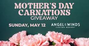 Mother's Day Carnation