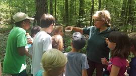 Junior Naturalist Workshop