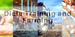 TUNNEL FARMING TRAINING