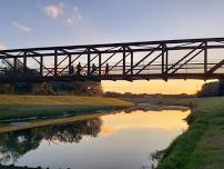 Bike ride, a few birds, nature: Upper most Buffalo Bayou +/-13 miles