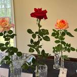 annual Wiregrass Rose Society show