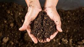 Soil Nutrition