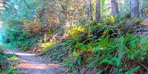 Nature Hike - San Bruno Mountain