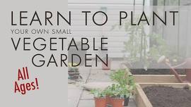 Learn to Plant Your Own Small Vegetable Garden