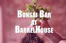 Bonsai Bar Workshop