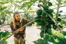 Agroecology in the Humid Subtropics — The Farm Byron Bay