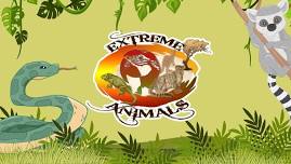 Extreme Animals