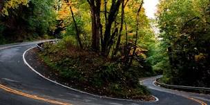 Friends of Lake Sammamish State Park Plant Walk