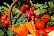 Vegetable Gardening in Montana