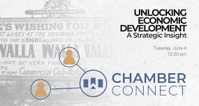 Chamber Connect | Unlocking Economic Development- A Strategic Insight