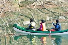 Kinshu Lake Private Canoe Tour: Journey through a Submerged Forest