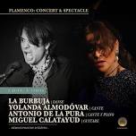 Flamenco Evening: Demonstration, Concert & Show