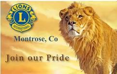 Montrose Lions Club Carnival