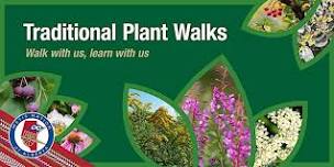 Traditional Plant Walks: Lac La Biche