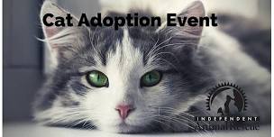 Cat Adoption Event Petco Eastgate