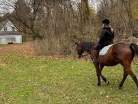 Ride on the beautiful trails of the Muttontown Preserve