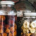 Distillation: make your own mampoer at Babylonstoren