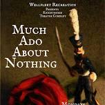 Much Ado About Nothing  — Wellfleet Cultural District and Events