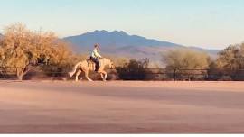 Jim Greendyk Reining Clinic