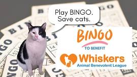 BINGO to Benefit Whiskers Animal Benevolent League