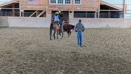 NERHA Intro To Cattle Clinics **SOLD OUT**