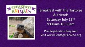 Breakfast with the Tortoise & Friends