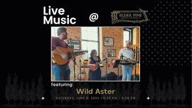 Wild Aster // LIVE at Elder Pine