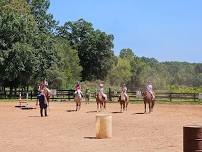 SES In House Schooling Show