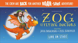 Zog and the Flying Doctors