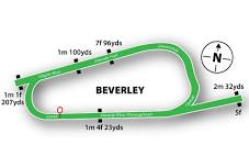 bet365 TWO YEAR OLD TROPHY CONDITIONS STAKES (2)