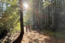 Nature Walks in Pacific: Scenic Tour of Old Growth Forest and Picturesque Pacific Ocean