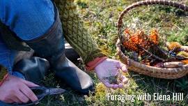 Foraging at 1000 Islands