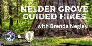 Nelder Grove Guided Hikes with Brenda Negley