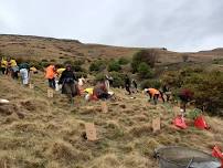 Avoca Valley Planting Day