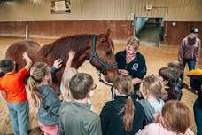 Beginner Horse Camp