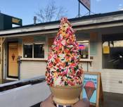 Cones for a Cause at Trails End Ice Cream, Intervale  — ACTS - Assistance Canine Training Services