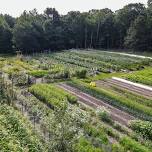 Veggies to Table Farm Tour — Veggies to Table