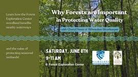 Why Forests are Important in Protecting Water Quality