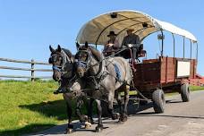 Wagon Ride  - Wednesday May 1