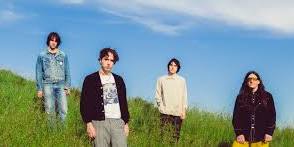 Beach Fossils